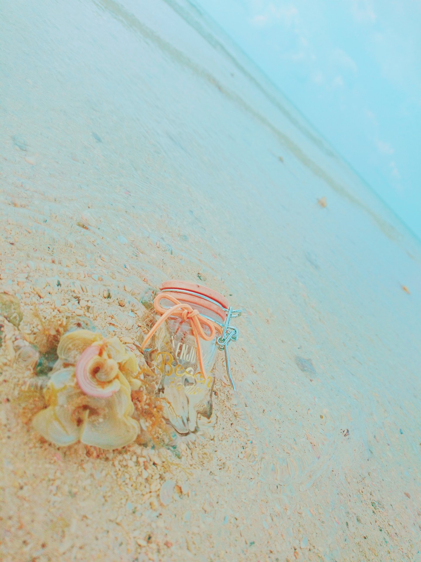 11月のお知らせ